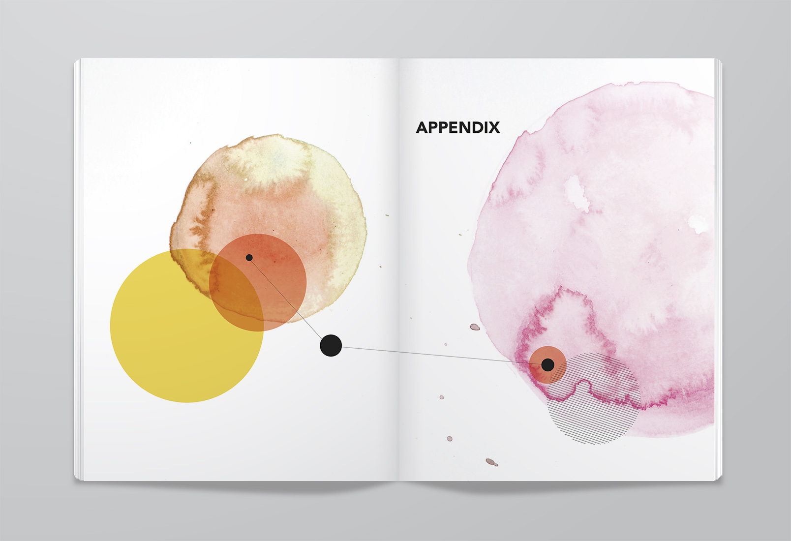 folded-paper-blank-white-booklet-magazine-report-book